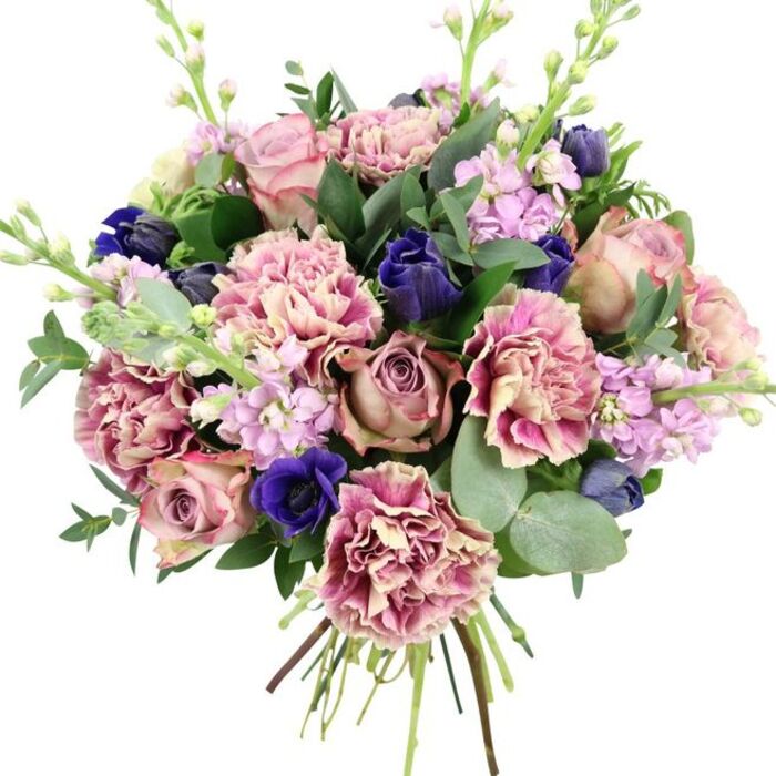 Set against a clean white background, this hand-tied bouquet shows off every nuance of colour and craftsmanship, as though just completed by an experienced Hemel Hempstead florist. At the core, large garden roses form a romantic focal point, their petals curving in tight spirals that gradually open into full blooms in shades of blush pink, dusty mauve, and soft antique rose. Around them, plentiful ruffled carnations add depth and volume; their frilled petals shift from creamy beige and pale blush near the centre to deeper rose, fuchsia, and plum along the edges, giving the impression of gentle waves of colour. Threaded through these warm tones are striking blue accents: deep indigo flowers in closed, tulip-like buds, and a standout royal blue anemone near the bottom-front, its rich petals encircling a dark, almost black centre that immediately catches the eye. Delicate stems of lilac and pale lavender stock emerge throughout, dotted with dense clusters of small blossoms that provide light vertical lines and an airy softness, suggesting a subtle, sweet fragrance floating up much like the scent from garden beds near Canal Fields. The bouquet is encased in a frame of verdant foliage, featuring glossy dark leaves and distinctive, round silvery eucalyptus that curves naturally, adding shape, cool texture, and a softly aromatic note. At the base, the stems are neatly gathered and clearly visible, reinforcing the fresh, hand-crafted quality associated with local delivery in Hemel Hempstead. With its layered pinks, serene purples, and dramatic blues, this arrangement feels equally suited to an anniversary dinner in Boxmoor, a thoughtful 'get well' for a friend in Grovehill, or a stylish thank-you gift across town.